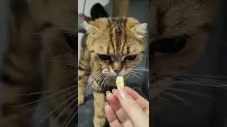 Девчооонки...😃😉