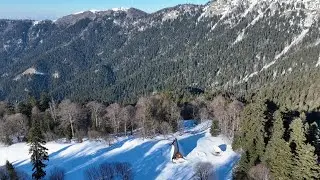Nedzvi Managed Reserve, Georgia