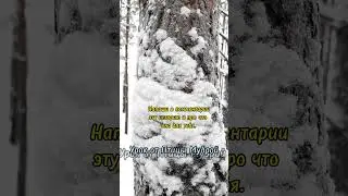 Уроки гадания на снежных пятнах от Птицы Мудрой - 01