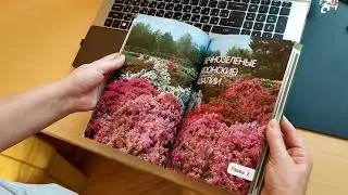 Рододендроны для Северо-Запада
