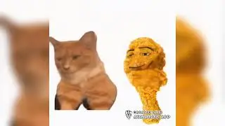 everyday I'm shuffling with mewing cat and chicken nuggets lmfao party rock anthem