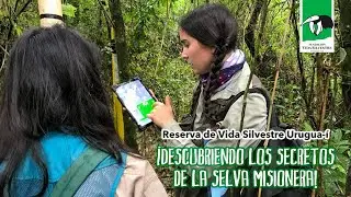 ¡🔎 Descubriendo secretos de la selva misionera!