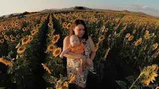 Girasoles en cerritos San Luis Potosi | EDGAR CAP @edgarfia