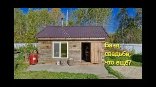 Плесень в бане и свадьба за три тысячи км