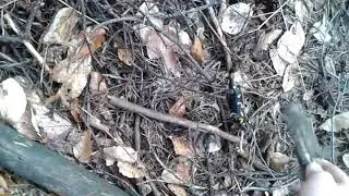 Кто знает что это?