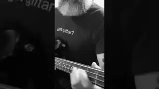 Allman Brothers low end goodness #allmanbrothers #bass #bassguitar #shorts