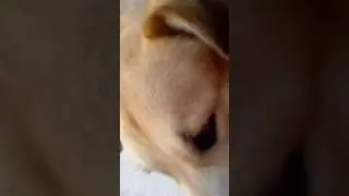 Договариваем о плэйлистах