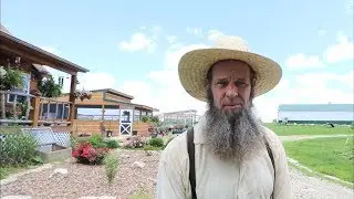 LIFE on a FARM ~ SHEEP farmer SELLS them and moves them!