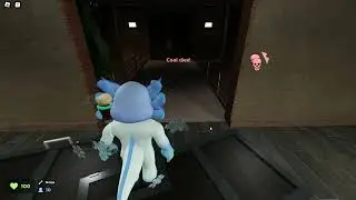 Evade (physics test)