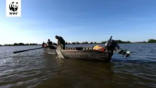 WWF-Україна та Одеський рибоохоронний патруль здійснили патрулювання річки Дунай
