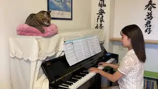 雨上がりにもう一度キスをして　　　　　　サザンオールスターズ                                     ピアノ　　〜猫と一緒〜