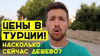 Цены в Турции - на еду, продукты, экскурсии. Отзыв и поход в магазин.