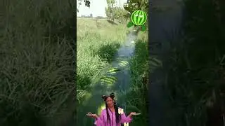 WATERMELONS RIVER 🍉💦😎 