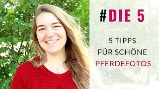 5 geniale Hacks für die perfekten Pferdefotos