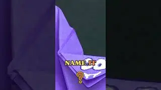 Guess the Zoomed in Image! Origami puzzle quiz