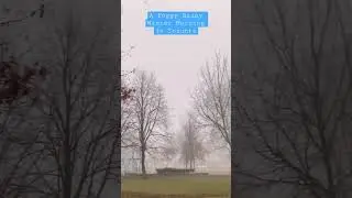 Winter in Toronto