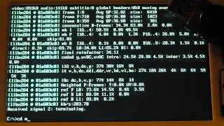 Running FFMPEG, Mplayer and DOSBox under HX DOS Extender