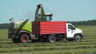 CLAAS JAGUAR 870 и ГАЗон NEXT на заготовке сенажа.
