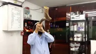 שופר לחג