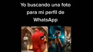 Yo buscando una foto para mí perfil de Whatsapp