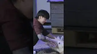 Поздравляем Чонгука с его прекрасным днём💗