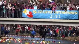 Erfurt im Bann der Plastikenten
