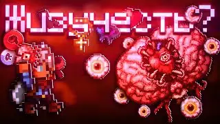 Гайд Terraria | БОЛЬШАЯ ЖИВУЧЕСТЬ?