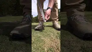 Ultra Dwarf Grass - All Toro 