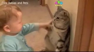 「絶対に笑う」あり得ないことをする犬★おもしろい犬のハプニング, 失敗画像集 #36