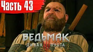 Ведьмак 3: Дикая Охота Прохождение Часть 43 