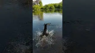 15.05.2023 открыли купальный сезон 