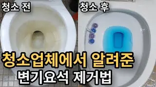 변기 안 찌든때 곰팡이 정말 쉽게 없애는 방법 I 쉽게 한번에 없애는 변기속 청소 방법 I 요석제거 I 변기요석 제거 I 변기청소 #다이소