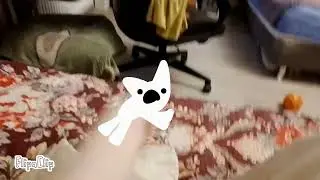 рис упал