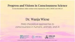 Meta-theoretical approaches to consciousness in humans, animals, and AI -- Wanja Wiese