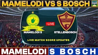 Mamelodi Sundowns Vs Stellenbosch Live Match Today | MAM Vs STE Live Friendly Football Match 2024