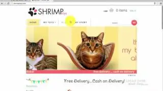 01.Shopify dashboard Description