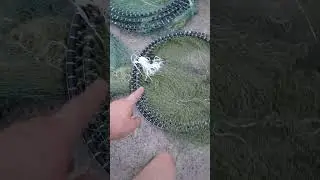 Вентеря.