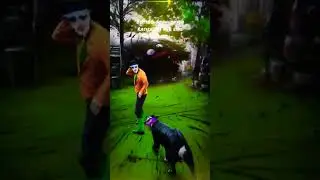 folgen folgen folgen #trending #goa #music #trending #fyp #shorts