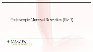 Endoscopic Mucosal Resection (EMR)