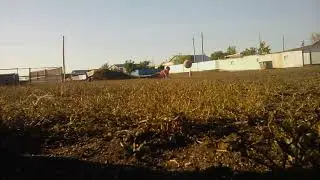 Сейвы Ильи #2