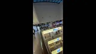 Прогулка по Севкабель порт СПб ,  разговор с программистом