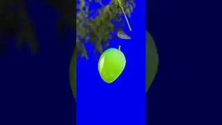 Mango cutting vfx video for Tiktok l green screen vfx editing
