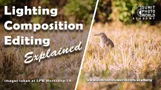 Lighting Composition Editing Explained | Workshop 59 - HINDI + ENGLISH