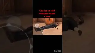 сожрал весь снюс и кайфует....#стандофф2 #мем #тикток #standoff2 #разрывная