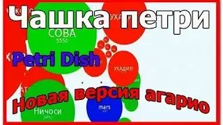 #3 PetriDash С Русланом