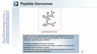 The Endocrine System - Part 1 of 3