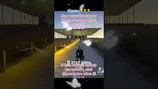 Фразы