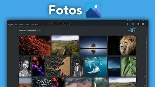 Windows Fotos (Tutorial) Alles was du darüber wissen musst