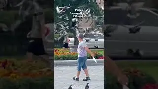 Хабаровск сегодня 