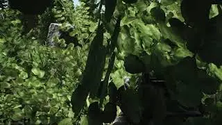 Escape From Tarkov - I see you but you cant see me